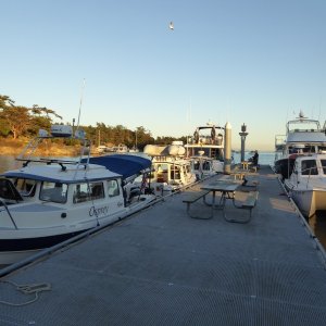 Down on the dock saying hi to the others
