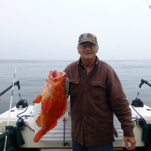 2012 Nootka