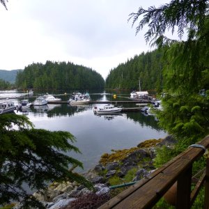 Nootka Sound 2012 veiw from our cottage at Critter Cove Marina