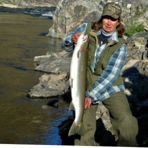 Media 'Salmon River steelhead' in album 'Sitting in Minneapolis waiting for the long trip to Montana'