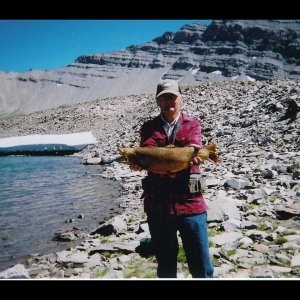 Media 'Montana cutthroat' in album 'Sitting in Minneapolis waiting for the long trip to Montana'