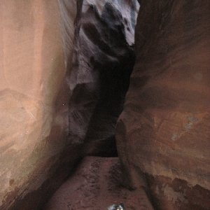 Baxter Loves Romping in the Slot at Smith Fork Canyon 9-20-10