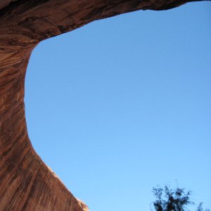 Looking Straight Up in Smith Fork Canyon 9-20-10
