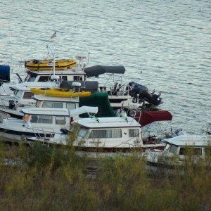 Oak Canyon Bay 25 Sept Photo by Hunkydory Jay