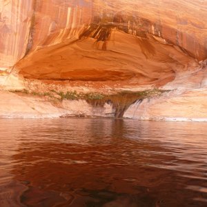 Escalante, unnamed canyon, for Bill to \"geologize\"