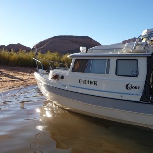 C Hawk, at Oak Canyon