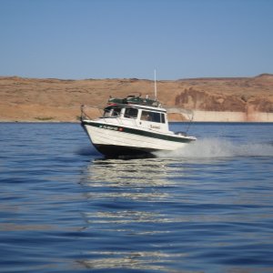 Casey on Katmai by Rana Verde