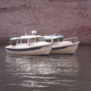 Halcyon & Bixby's Cub in Clear Creek Canyon by Rana Verde
