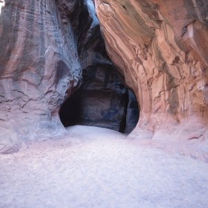 Smith Fork Canyon II by Rana Verde