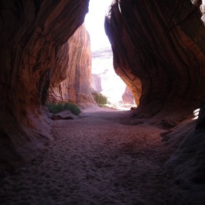 Smith Fork Canyon III by Rana Verde
