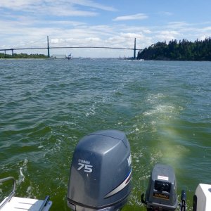 Media 'Fishing off West Vancouver / Lions Gate bridge view' in album 'Chase.n.Me .......19 ft Angler'