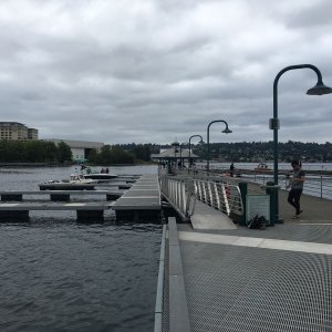 New docks at Gene Coulon