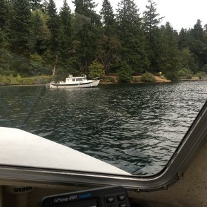 Thought I spotted Starcraft Tom in Andrews Bay!