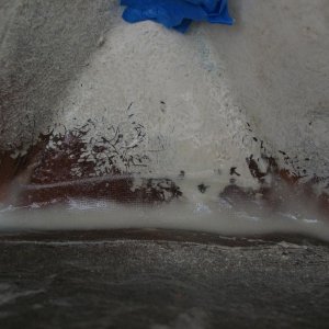 Media 'Bulkhead seam filleted and fiberglass taped.  This also sealed the disused hole in the locker/berth bulkhead from which I had removed a small eye-nut.' in album 'Overview'