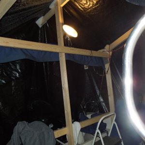 Media 'DSCN0393' in album 'The Man Cave, 2012/2013'