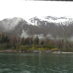 Not all Glacier Bay even this early is all rock, ice & snow