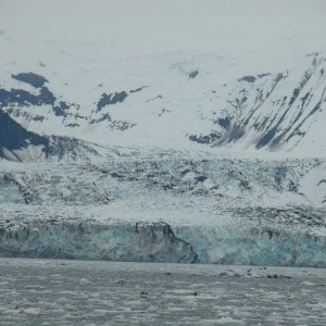 John Hopkins Glacier close shot