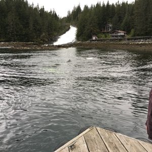 A very happy & impressed whale watcher