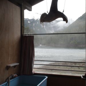 Warm Spring Bay view from hot tub
