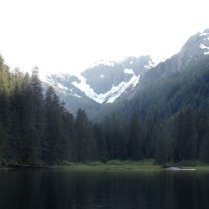 There was also a bear in this meadow on the west side of small inner salt water chuck anchorage