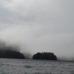 Leaving Piehle Passage & the fog