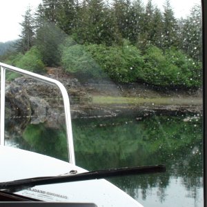 Mirror Harbor east arm entry through kelp