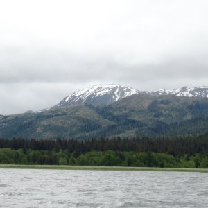 Head of Lisianki inlet from tidal flats