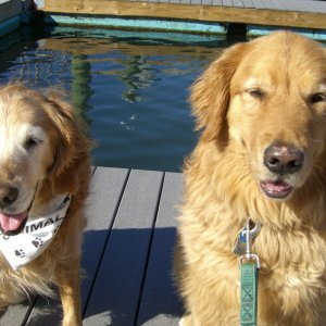 The Retrievers
waiting to jump aboard