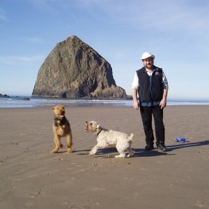 Cannon Beach-Haystack Rock (1)