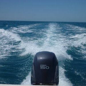 Running the thirty or so miles on the gulf/ Florida Bay (back) side of the Florida Keys