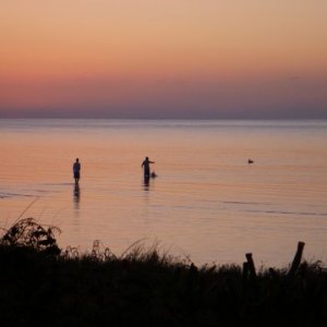 Two fisherman throwing a cast net at sunrise for bait while a pelican looks on