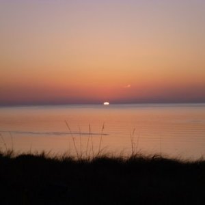 Suns coming up!
