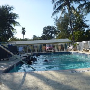 The Pool at Black Fin Resort/Marine