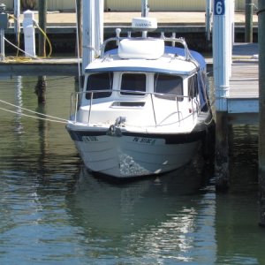 We had a real low tide the other morning with a low temp of 37 degrees. it made it hard to get off our boat for more reasons than one.