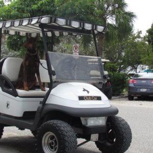 We tow our boat with this new to us ride screw the oil companies this dog runs on batteries. Look mom no brakes. Since we got our doors blown off I had to adopt some new security measures.