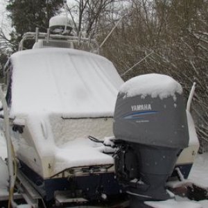 Guess it's time to put the full winter cover back on