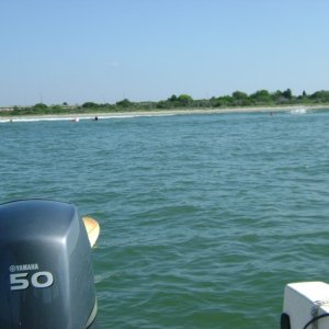 surfing fishermans island u