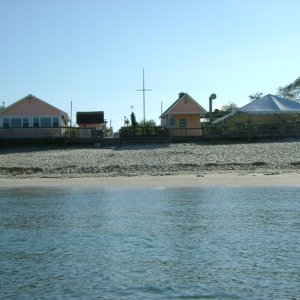 Media 'pelican pub' in album 'BlueCrabs'