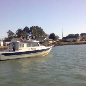 Media 'C-Song tying up in Oyster, VA harbor' in album 'BlueCrabs'