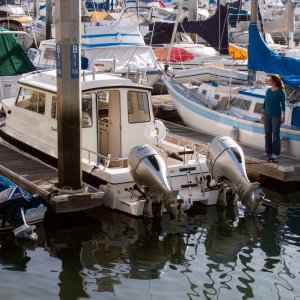 Media 'Feb  12, 2010 010.jpg' in album 'No Pressure in our Redondo Beach slip'
