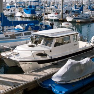 Media 'Feb  12, 2010 No Pressure.jpg' in album 'No Pressure in our Redondo Beach slip'