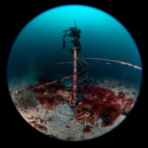 Topaz Deep DSC_8957.jpg