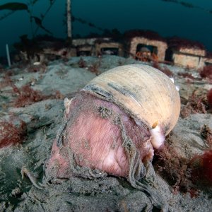 Topaz Deep DSC_9024.jpg