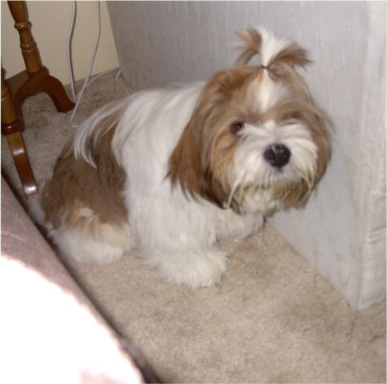 010704neuter