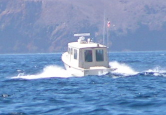 0381C