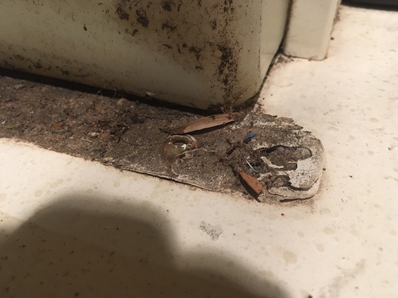 04 ya pretty nasty but the caulk is still there