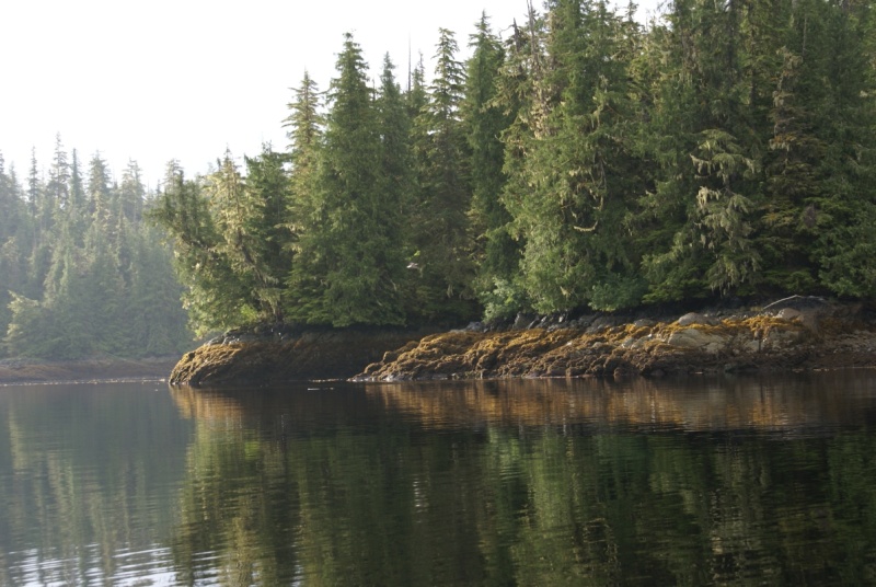 087 Thorne Bay -0363