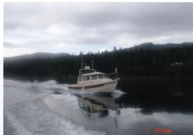 1 Oct 2006 Sequim Bay  
     KINGFISHER
