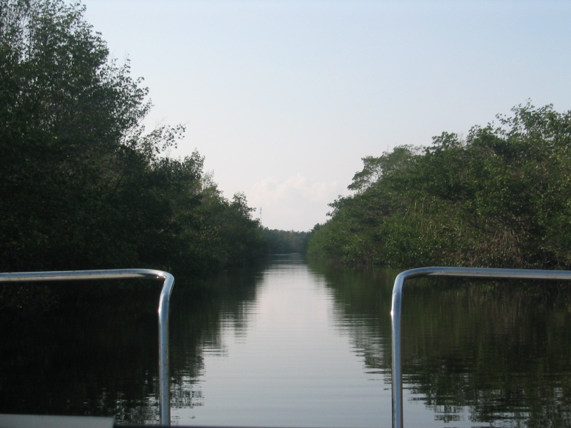 10,000 Islands