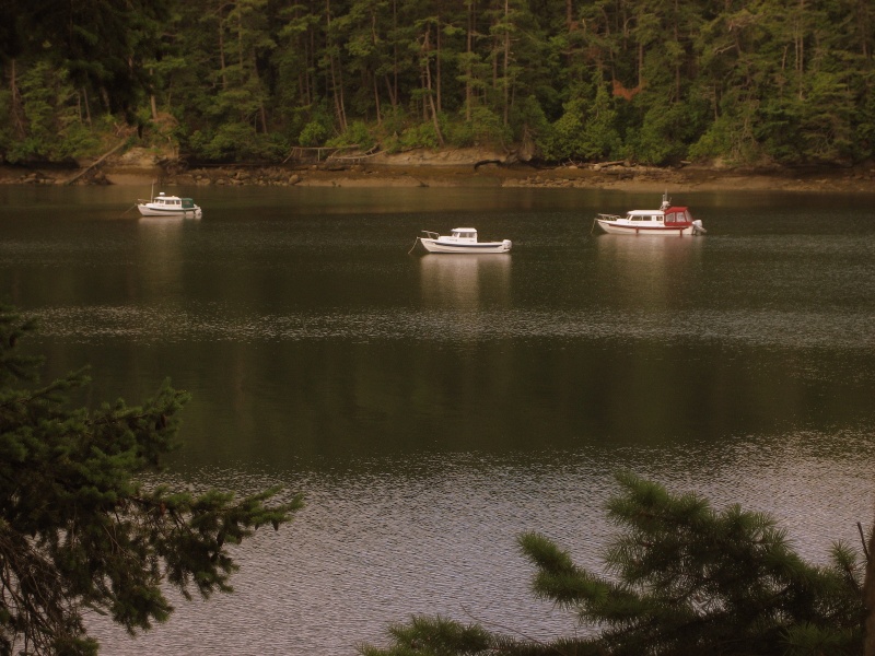 10 June 2007 
Shallow Bay, Sucia Island
    HALCYON, R-MATEY
      and DAYDREAM